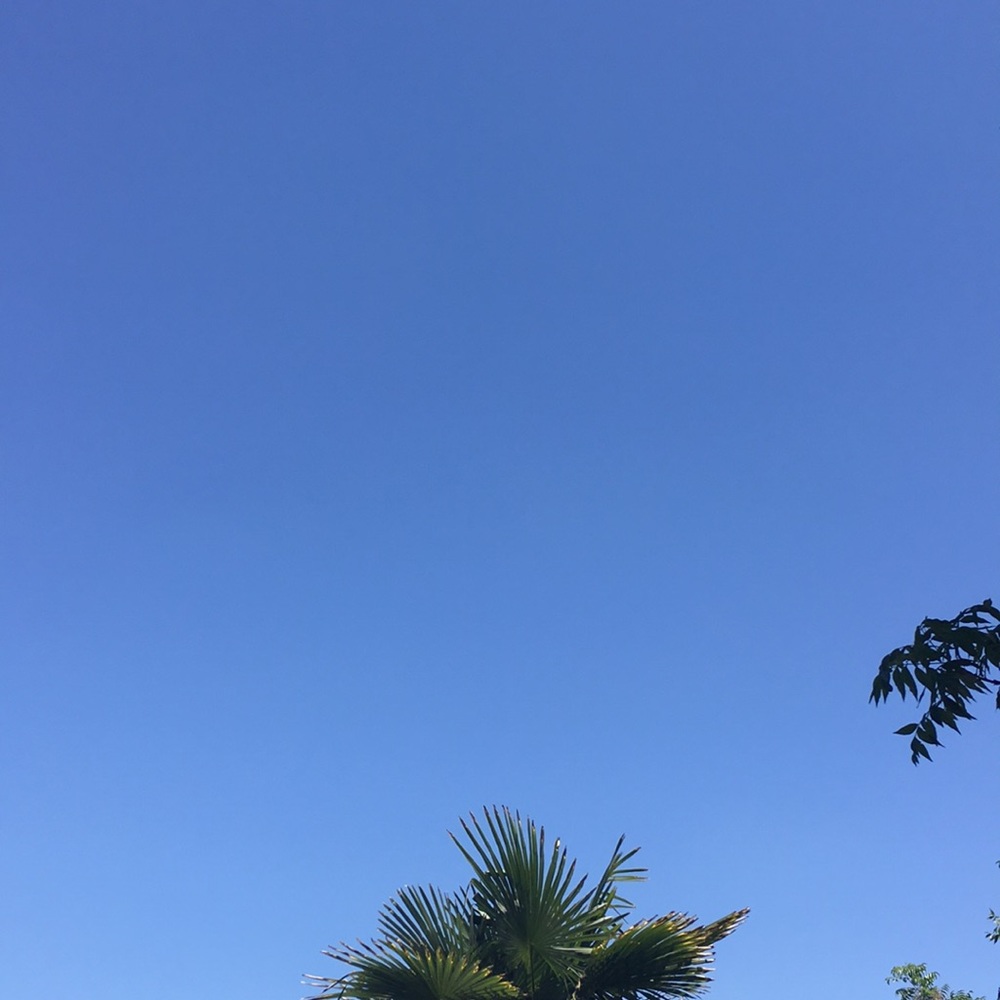 California Air